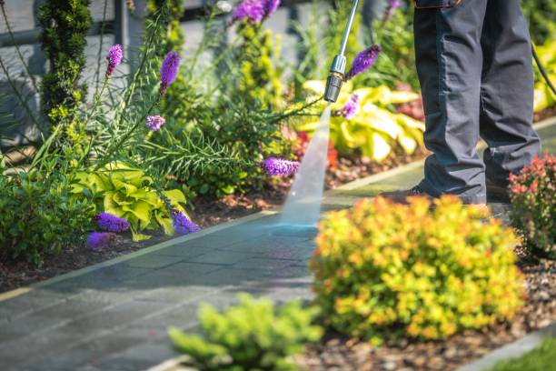 Best Deck and Patio Pressure Washing in Baldn, WI